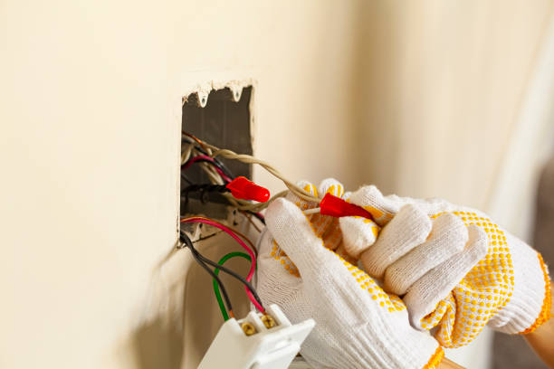 Best Electrical Panel Upgrades  in Eagle, CO